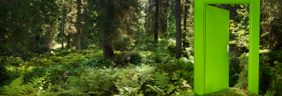 Besuchen Sie Wald.ch – Unsere Jubiläumsseite