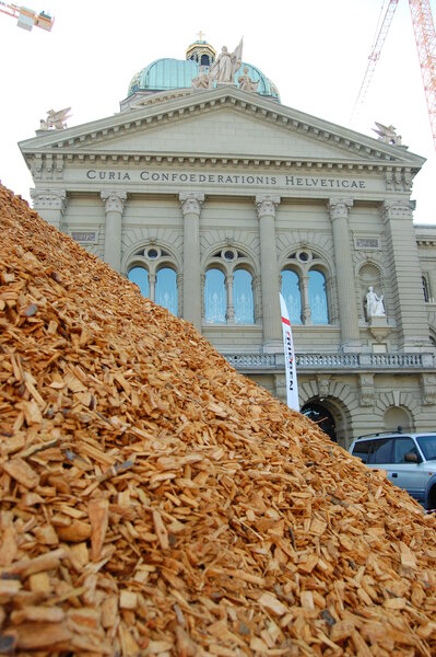 Holz kann viel zur zukünftigen Energieversorgung beitragen. Bild: WaldSchweiz