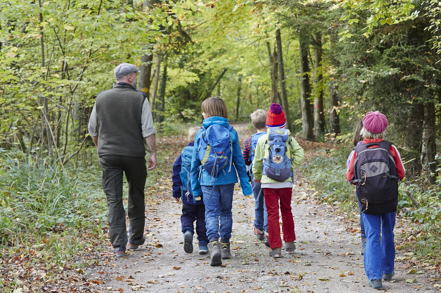 Ab in den Wald (Foto WaldSchweiz/A. Jaquemet)